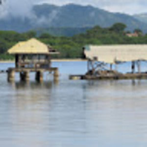 Meet your Posher, Nana